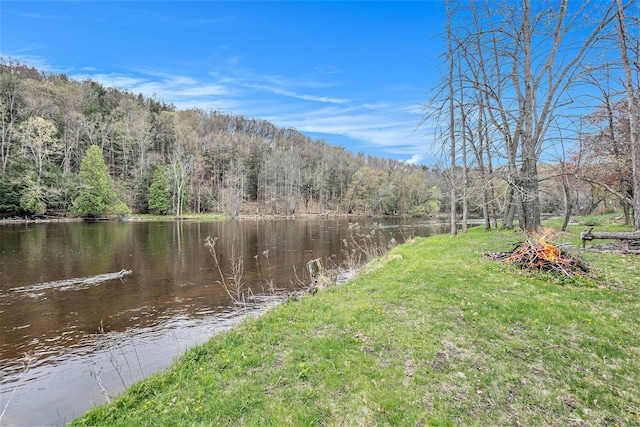 17389 Rapids Dr, Hersey, MI 49639 - water view featuring a forest