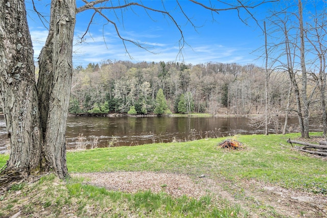 17389 Rapids Dr, Hersey, MI 49639 - view of grassy yard with a forest view and a water view