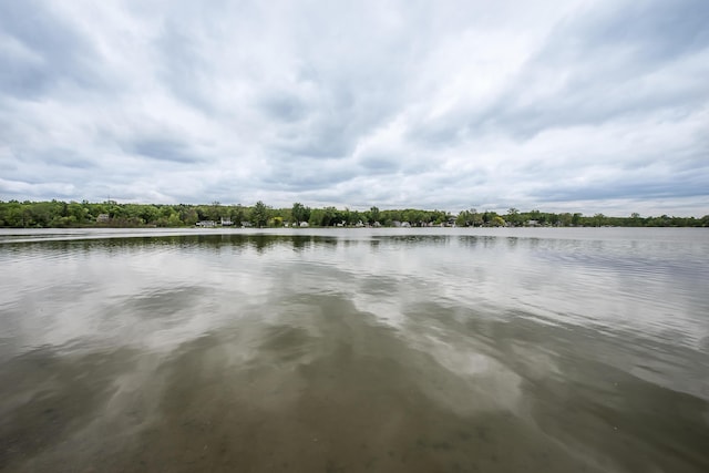 10985 E Pleasant Lake Rd, Manchester, MI 48158 - water view