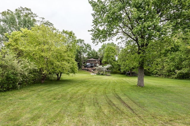 10985 E Pleasant Lake Rd, Manchester, MI 48158 - view of green lawn