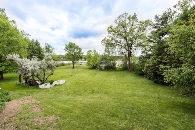 10985 E Pleasant Lake Rd, Manchester, MI 48158 - view of grassy yard