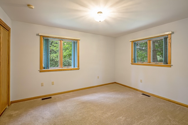 10985 E Pleasant Lake Rd, Manchester, MI 48158 - unfurnished bedroom featuring multiple windows, carpet, and baseboards