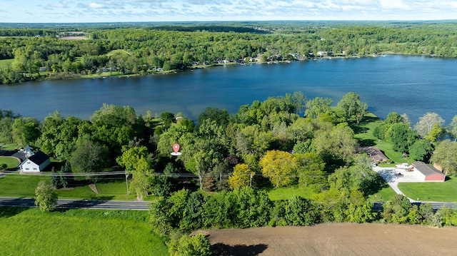10985 E Pleasant Lake Rd, Manchester, MI 48158 - aerial view of a heavily wooded area and a large body of water