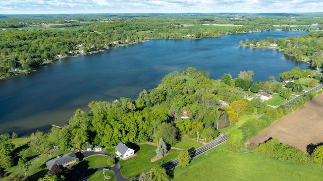 10985 E Pleasant Lake Rd, Manchester, MI 48158 - drone / aerial view of a large body of water and a heavily wooded area