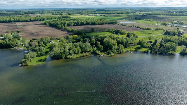 10985 E Pleasant Lake Rd, Manchester, MI 48158 - aerial view of property and surrounding area with a large body of water and rural landscape