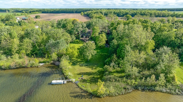10985 E Pleasant Lake Rd, Manchester, MI 48158 - aerial view of property and surrounding area with a large body of water