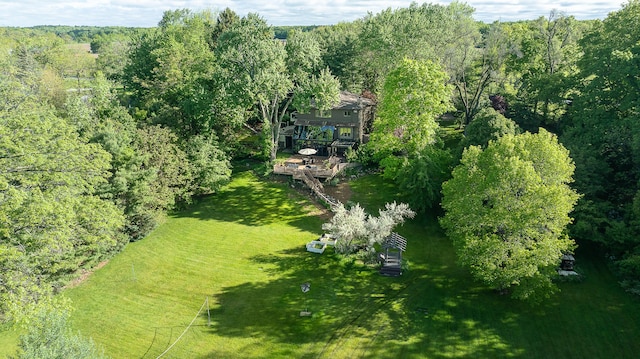 10985 E Pleasant Lake Rd, Manchester, MI 48158 - view from above of property featuring a forest
