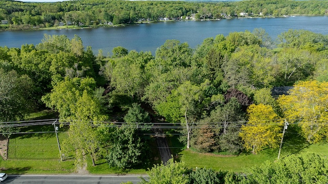 10985 E Pleasant Lake Rd, Manchester, MI 48158 - drone / aerial view of a forest and a large body of water