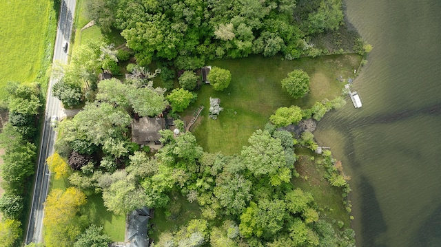 10985 E Pleasant Lake Rd, Manchester, MI 48158 - aerial overview of property's location with a tree filled landscape