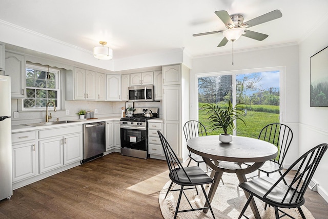 kitchen featuring dark wood-style flooring, a healthy amount of sunlight, a sink, light countertops, and appliances with stainless steel finishes