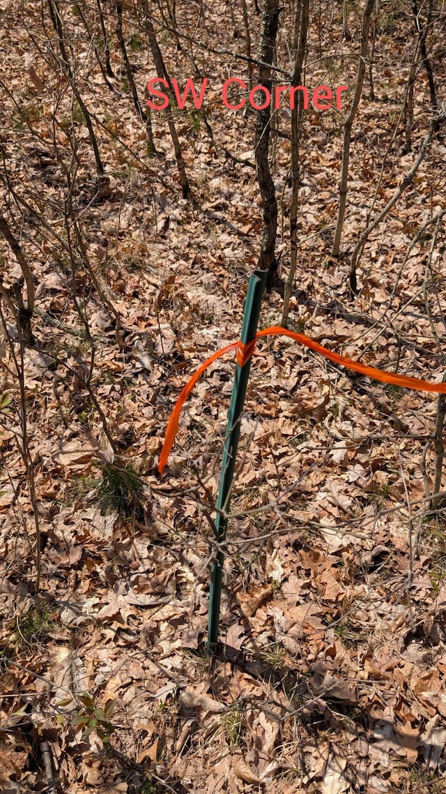 V/L Free Soil, Free Soil, MI 49411