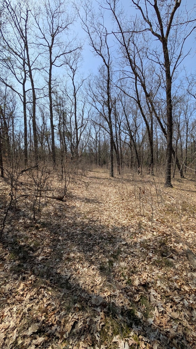 V/L Free Soil, Free Soil, MI 49411