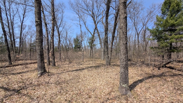 V/L Free Soil, Free Soil, MI 49411
