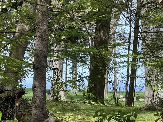 77th St Lot 19, South Haven, MI 49090