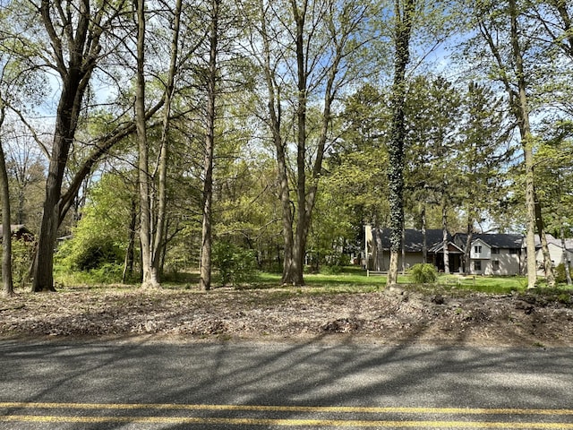 77th St Lot 19, South Haven, MI 49090