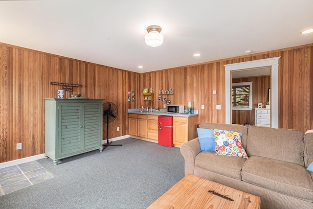 447 Paradise Ln, Horton, MI 49246 - carpeted living area with wooden walls, a sink, recessed lighting, and baseboards