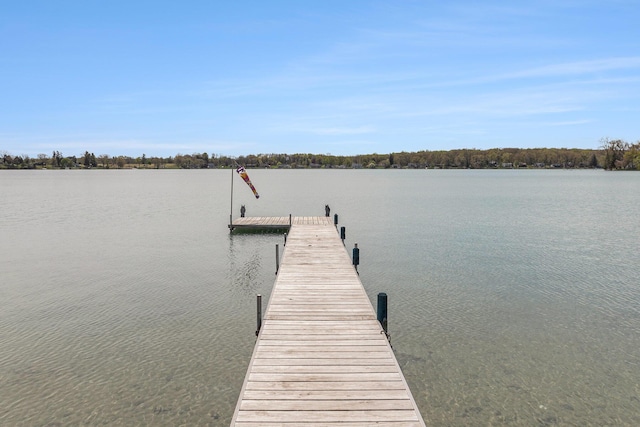 447 Paradise Ln, Horton, MI 49246 - dock featuring a water view