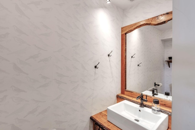 67592 95th Ave, Dowagiac, MI 49047 - bathroom featuring a sink