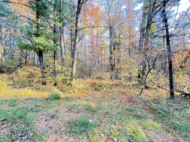7.32AC E 58th St, Newaygo, MI 49337