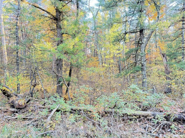 7.32AC E 58th St, Newaygo, MI 49337