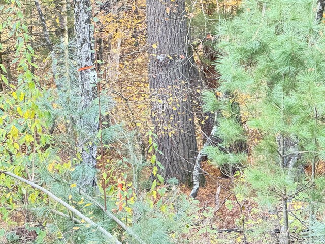 7.32AC E 58th St, Newaygo, MI 49337