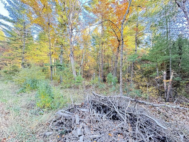 7.32AC E 58th St, Newaygo, MI 49337