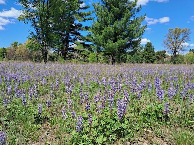 12.86AC Barberry Ave, Newaygo, MI 49337