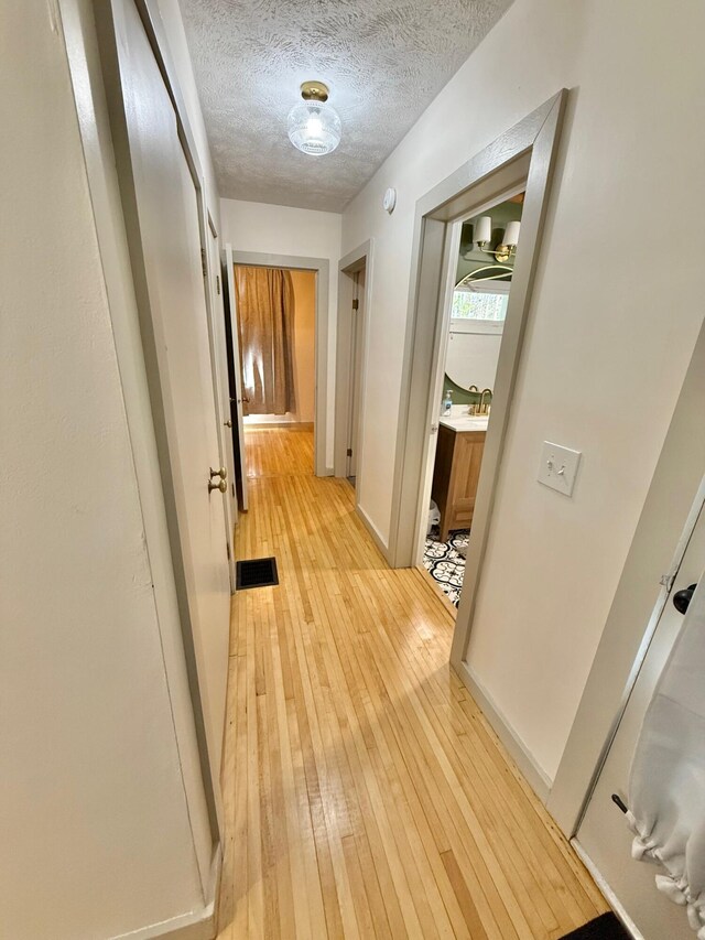 5795 S M37 Hwy, Hastings, MI 49058 - hall featuring a textured ceiling, visible vents, light wood-type flooring, and a sink