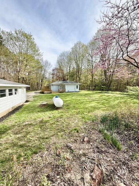 5795 S M37 Hwy, Hastings, MI 49058 - view of yard