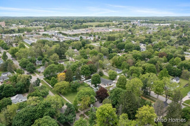 510 Division St, Big Rapids, MI 49307 - bird's eye view