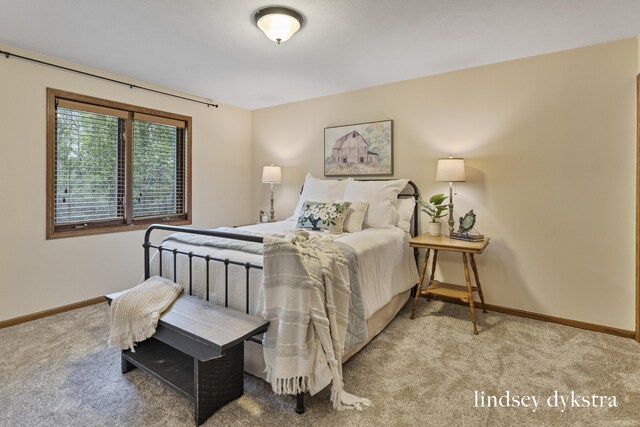 1013 Country Gdns NW, Walker, MI 49534 - carpeted bedroom with baseboards