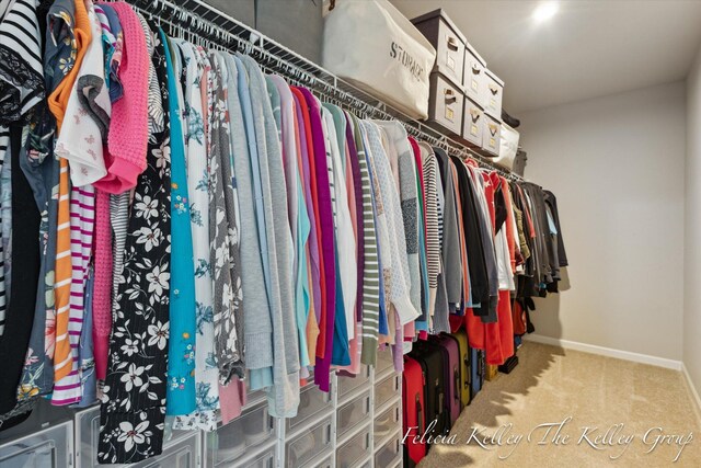 560 Pioneer Trl, Cedar Springs, MI 49319 - spacious closet featuring carpet floors