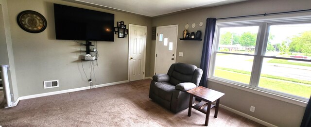 3550 Oak St, Hudsonville, MI 49426 - sitting room with carpet and baseboards
