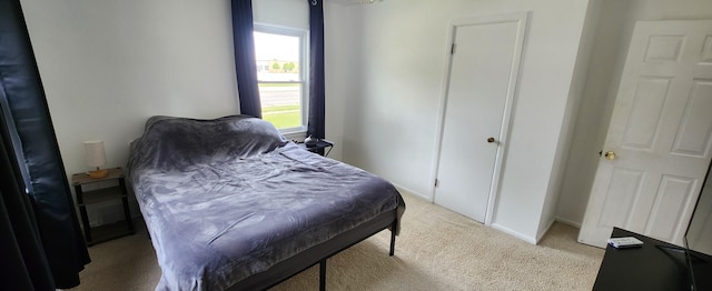 3550 Oak St, Hudsonville, MI 49426 - bedroom with light colored carpet and baseboards