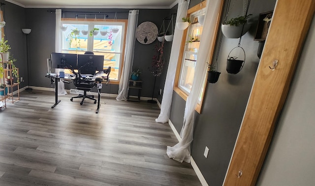 3550 Oak St, Hudsonville, MI 49426 - office area featuring crown molding, baseboards, and wood finished floors