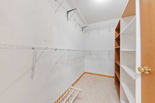 5521 W Spring Creek Rd, Three Oaks, MI 49128 - walk in closet with carpet flooring