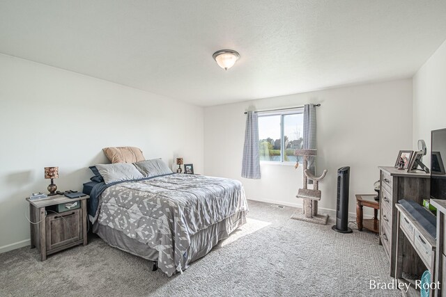 8161 W Sturtevant Ave, Richland, MI 49083 - carpeted bedroom featuring baseboards