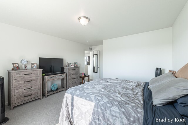 8161 W Sturtevant Ave, Richland, MI 49083 - bedroom with light colored carpet