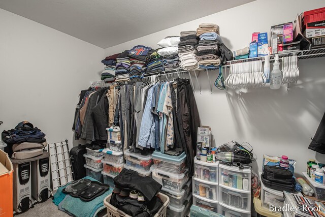 8161 W Sturtevant Ave, Richland, MI 49083 - walk in closet featuring carpet