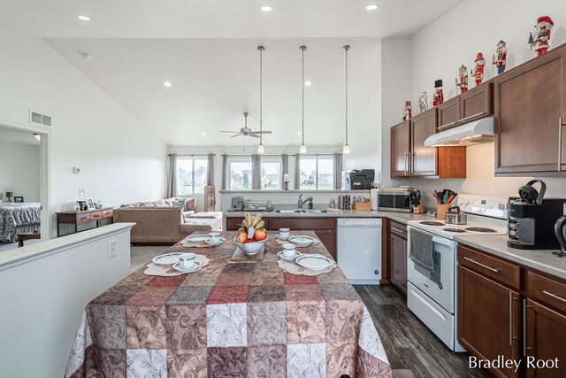 8161 W Sturtevant Ave, Richland, MI 49083 - kitchen featuring white appliances, under cabinet range hood, a sink, high vaulted ceiling, and dark wood-style flooring