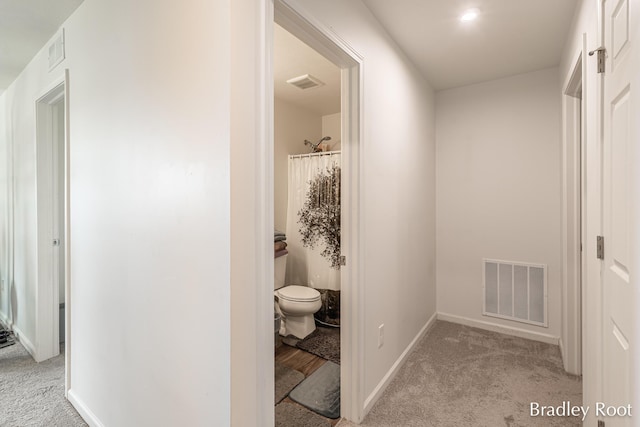 8161 W Sturtevant Ave, Richland, MI 49083 - corridor with light colored carpet and baseboards