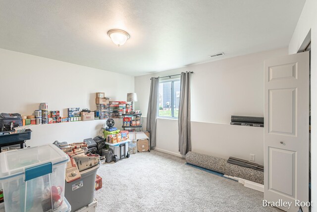 8161 W Sturtevant Ave, Richland, MI 49083 - rec room with carpet floors and baseboards