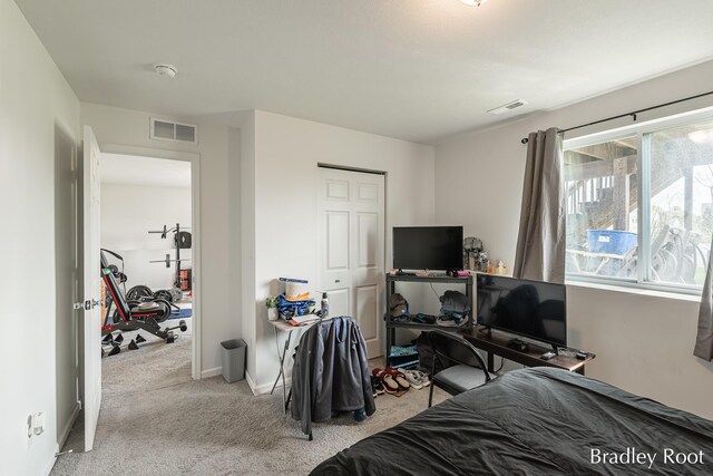 8161 W Sturtevant Ave, Richland, MI 49083 - bedroom featuring light carpet, baseboards, and a closet