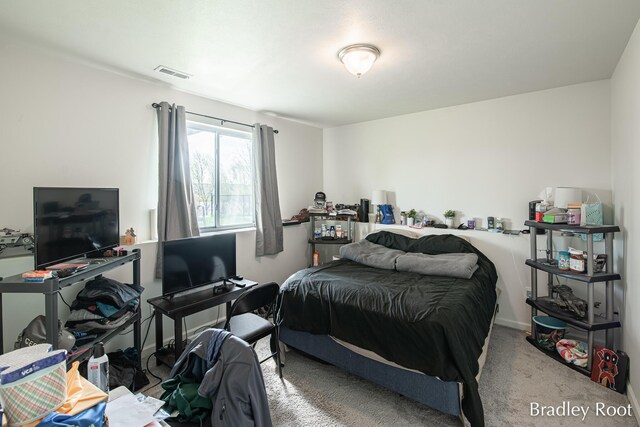8161 W Sturtevant Ave, Richland, MI 49083 - bedroom with carpet floors