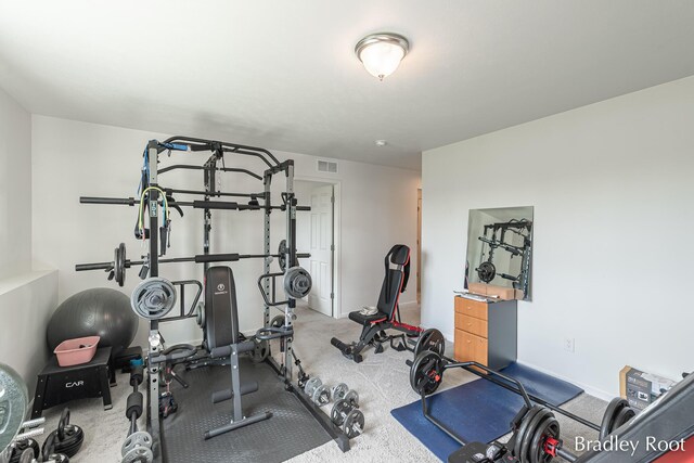 8161 W Sturtevant Ave, Richland, MI 49083 - workout room with carpet and baseboards