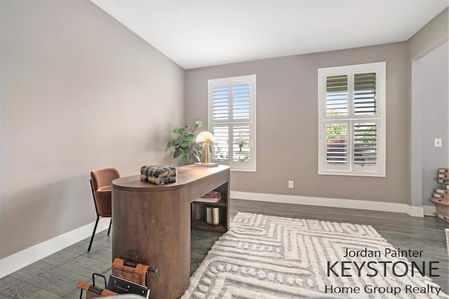 3673 Hunters Way Dr SE, Ada, MI 49301 - office space with wood finished floors and baseboards