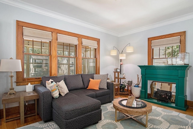 living area with wood finished floors and crown molding