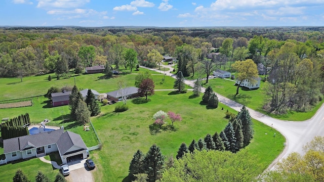 bird's eye view of a forest