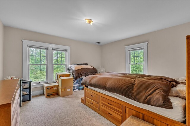 2486 Whitmore Lake Rd, Ann Arbor, MI 48105 - bedroom with light colored carpet