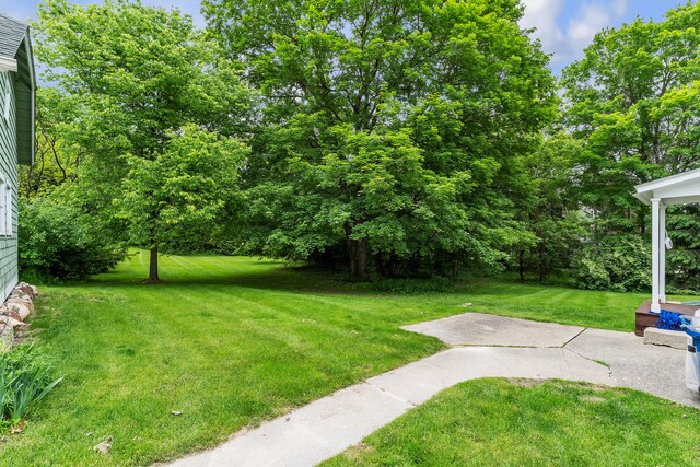 2486 Whitmore Lake Rd, Ann Arbor, MI 48105 - view of green lawn